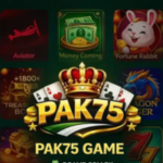 PAK75 Game