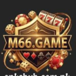 M66 Game